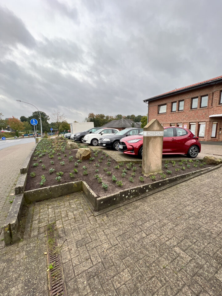 Seitenansicht der Grünpflege und Neupflanzung im Beet, mit einem Parkplatz im Hintergrund, auf dem mehrere Autos stehen.